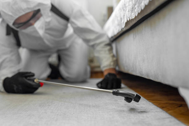 Professional Bed Bug Control technician working in East Lexington, VA