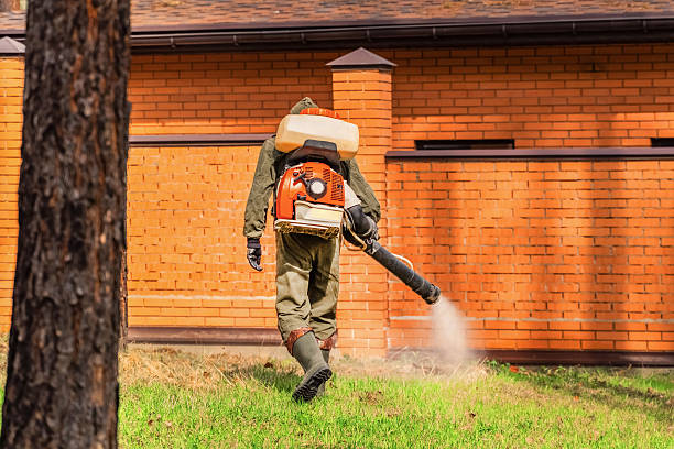 Trusted Emergency Pest Control service in East Lexington, VA - Nex Pest Control